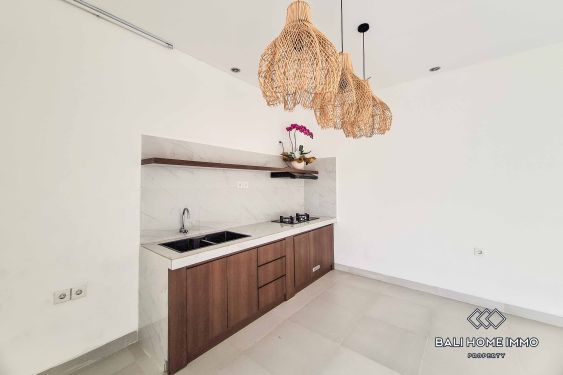 Image 3 from Villa neuve de 2 chambres à louer à Padonan Canggu