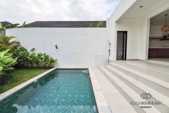 Image 2 from Villa neuve de 2 chambres à louer à Padonan Canggu