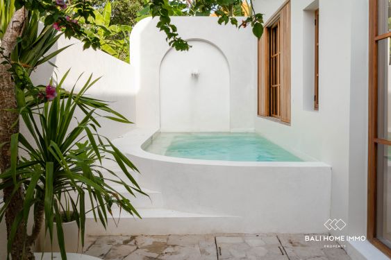 Image 1 from Brand New 2-bedroom Villa for Sale and Rent in Pererenan Tumbak Bayuh