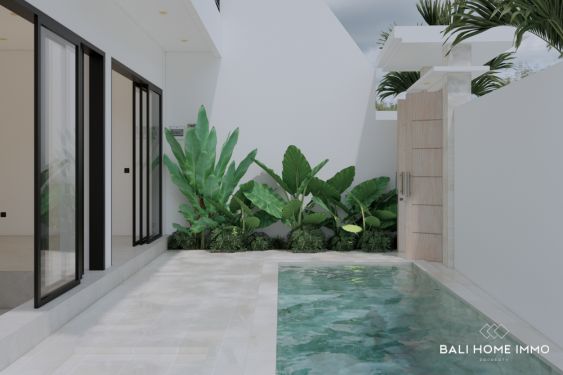 Image 2 from VILLA 2 KAMAR TIDUR BARU UNTUK DIJUAL SEWA DI UNGASAN