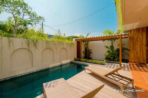 Image 1 from Villa neuve de 3 chambres à coucher à vendre en leasing à Bali Canggu
