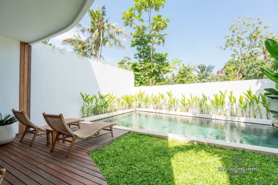 Image 2 from BRAND NEW 3 BEDROOM VILLA FOR SALE LEASEHOLD IN BALI KEDUNGU