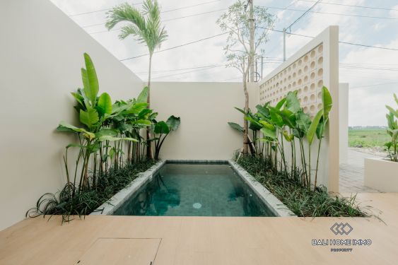 Image 2 from Brand new 3 bedroom villa for sale leasehold near Kedungu Beach