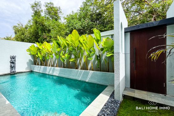 Image 3 from BRAND NEW 3 BEDROOMS VILLA WITH OCEAN VIEW FOR SALE IN UNGASAN