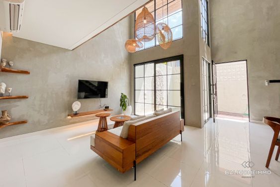 Image 3 from Villa moderne neuve de 2 chambres à vendre et à louer à Bali Seminyak