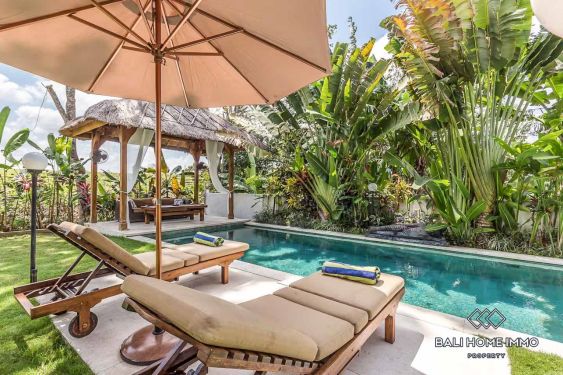 Image 2 from CHARMING 4 BEDROOM VILLA FOR RENT IN BALI CANGGU