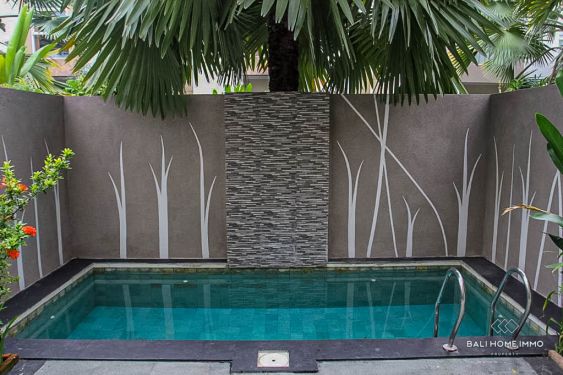Image 2 from COZY 2 BEDROOM VILLA FOR RENTALS IN BALI KEROBOKAN