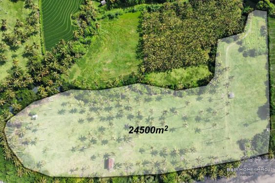 Image 1 from Beachfront Land for Sale Freehold in Balian Beach Tabanan Bali