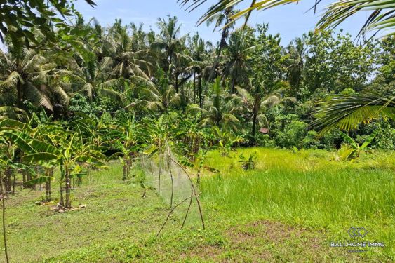 Image 2 from Tanah Dijual Hak Milik di Bali Balian