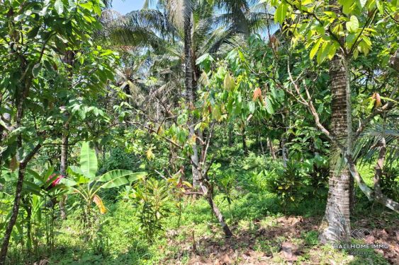 Image 3 from Tanah Dijual Hak Milik di Bali Balian