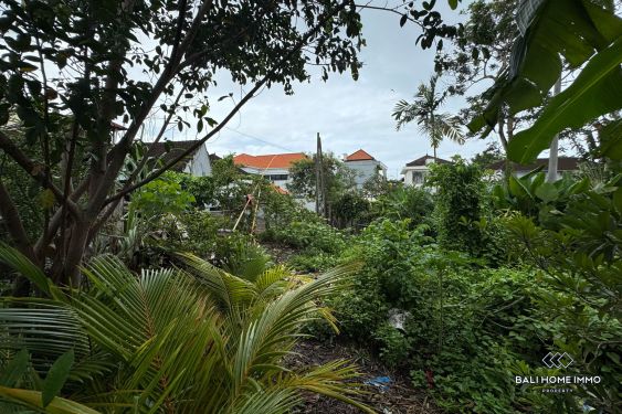 Image 2 from Land for sale freehold in Bali Canggu Echo beach