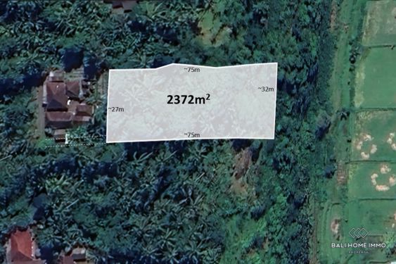 Image 1 from Dijual Tanah Hak Milik di Bali Karangasem