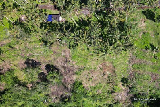 Image 3 from Dijual Tanah Hak Milik di Bali Karangasem