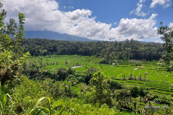 Image 2 from Dijual Tanah Hak Milik di Bali Karangasem