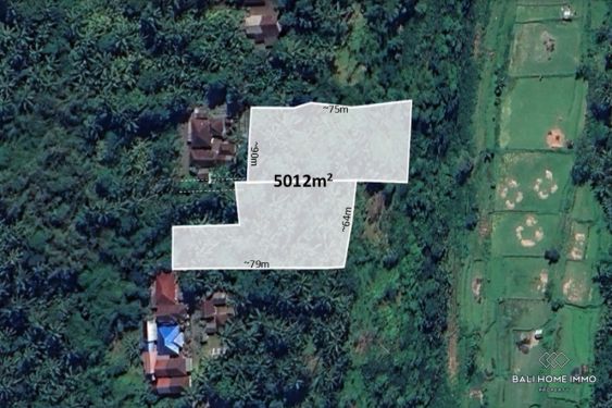 Image 1 from Land for Sale Freehold in Bali Karangasem