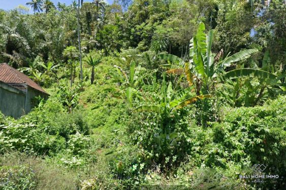 Image 3 from Land for Sale Freehold in Bali Karangasem