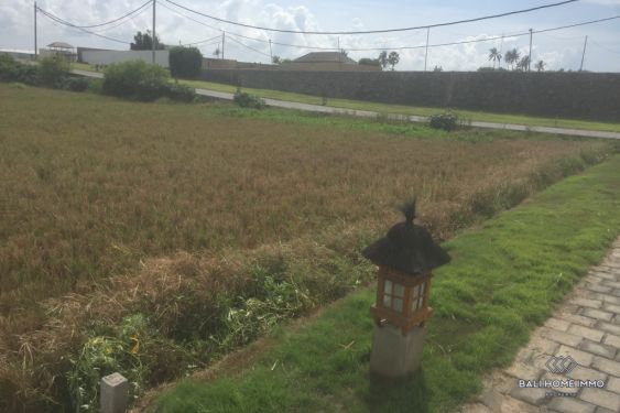 Image 2 from Land for Sale Freehold in Bali Near Pabean Ketewel Beach