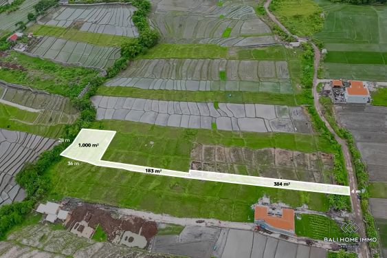 Image 1 from LAND FOR SALE FREEHOLD IN BALI NEAR SESEH BEACH