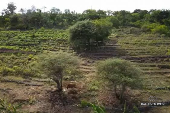 Image 3 from Land for Sale Freehold in Bali Nusa Penida
