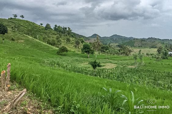 Image 3 from Land for Sale Freehold in Lombok