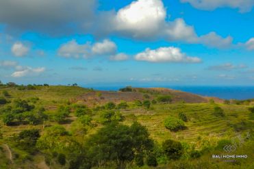 Image 2 from Land For Sale Freehold in Nusa Penida Island