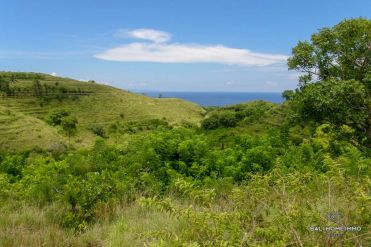 Image 1 from Land For Sale Freehold in Nusa Penida Island