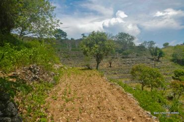 Image 3 from Land For Sale Freehold in Nusa Penida Island