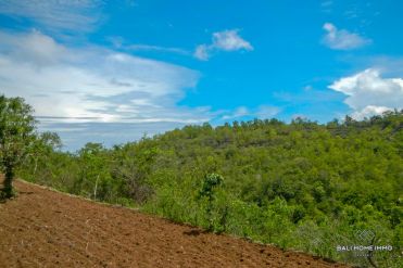 Image 2 from Land For Sale Freehold in Nusa Penida Island