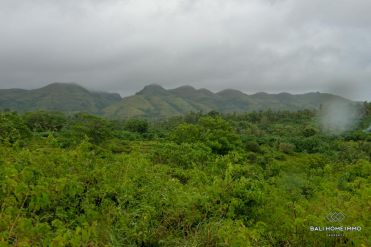 Image 3 from Land For Sale Freehold in Nusa Penida Island