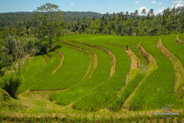 Image 1 from Land For Sale Freehold in Tabanan