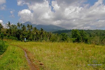 Image 3 from Land For Sale Freehold in Pupuan - Tabanan