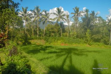 Image 2 from Land For Sale Freehold in Pupuan - Tabanan