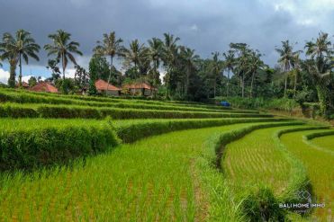 Image 1 from Land For Sale Freehold in Pupuan - Tabanan