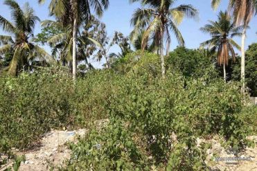 Image 3 from Riverside land for sale freehold in Nyanyi Tabanan Bali