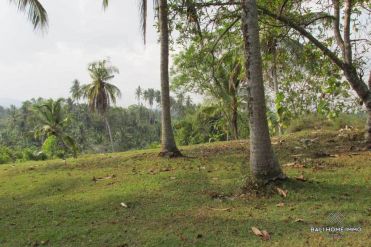 Image 2 from Land for sale freehold in Bali West Coast - Soka Beach