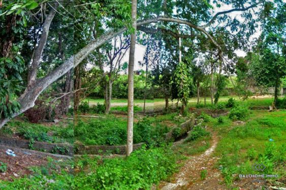 Image 2 from Tanah Dijual di Bali Canggu Area Residensial