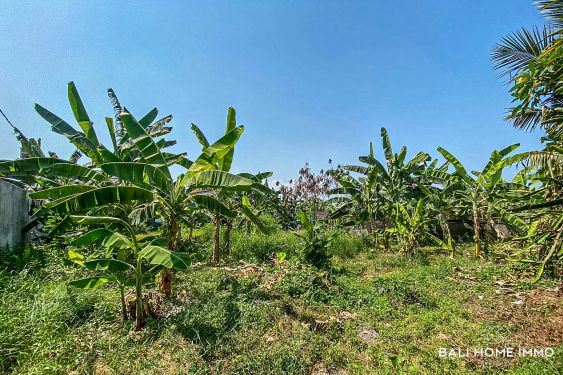 Image 2 from Land for sale in Bali Canggu - Tanah Barak