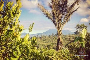 Image 2 from LAND FOR SALE LEASEHOLD IN KINTAMANI