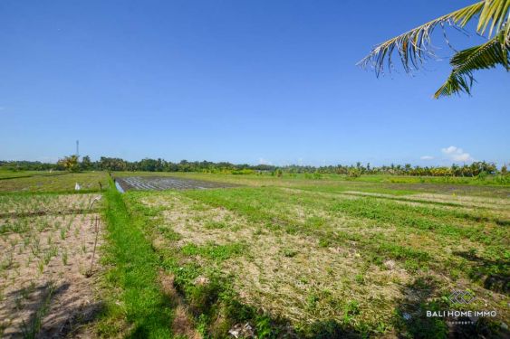 Image 3 from Tanah Pemandangan Sawah Dikontrak Jangka Panjang di Bali Kedungu