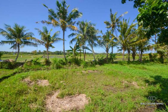 Image 2 from Tanah Pemandangan Sawah Dikontrak Jangka Panjang di Bali Kedungu