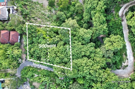 Image 2 from Land for sale leasehold walking distance to beach in Nusa Lembongan