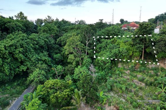 Image 3 from Land for sale leasehold walking distance to beach in Nusa Lembongan