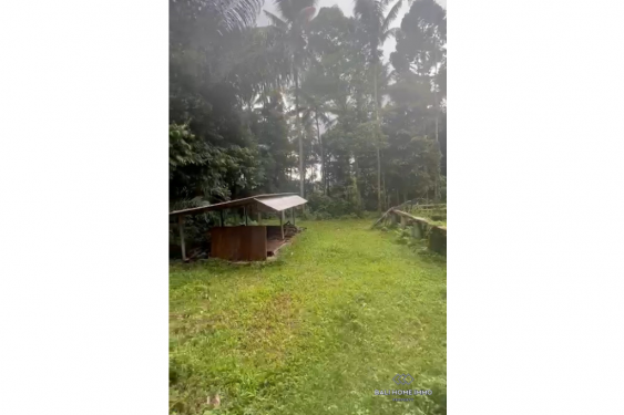 Image 3 from Tanah dijual di Bali Ubud