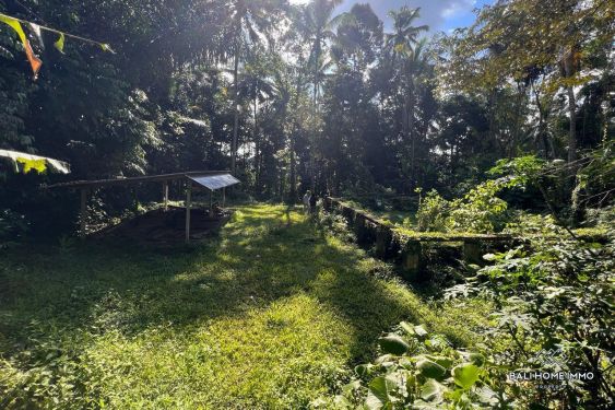 Image 2 from Tanah dijual di Bali Ubud
