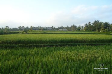 Image 2 from Land for Sale Leasehold in Tegalalang, Ubud