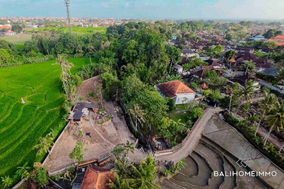 Image 3 from Terrain avec vue sur 125m de rizière à vendre en pleine propriété à Bali Pererenan - Tumbak Bayuh