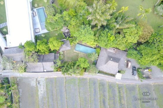 Image 2 from Tanah 6,7 are dengan villa joglo disewakan di Bali Pererenan