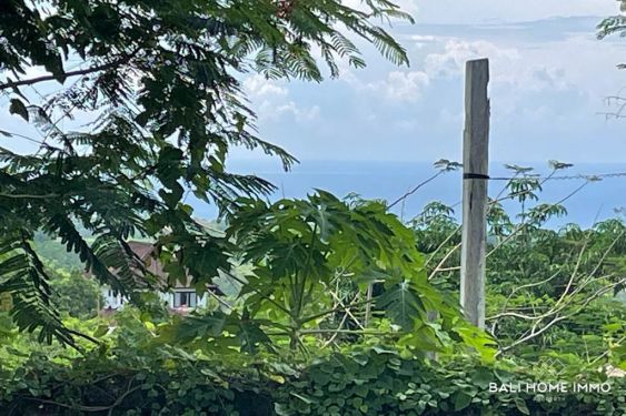 Image 2 from LAND WITH UNOBSTRUCTED OCEAN VIEW FOR SALE FREEHOLD IN BALI ULUWATU PECATU