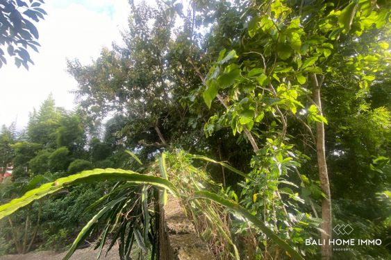 Image 3 from LAND WITH VIEW FOR SALE FREEHOLD IN BALI ULUWATU PECATU