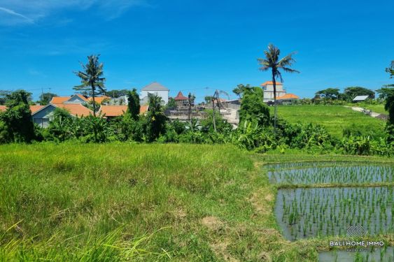 Image 3 from Land With View for Sale Leasehold in Bali Pererenan near Pantai Lima